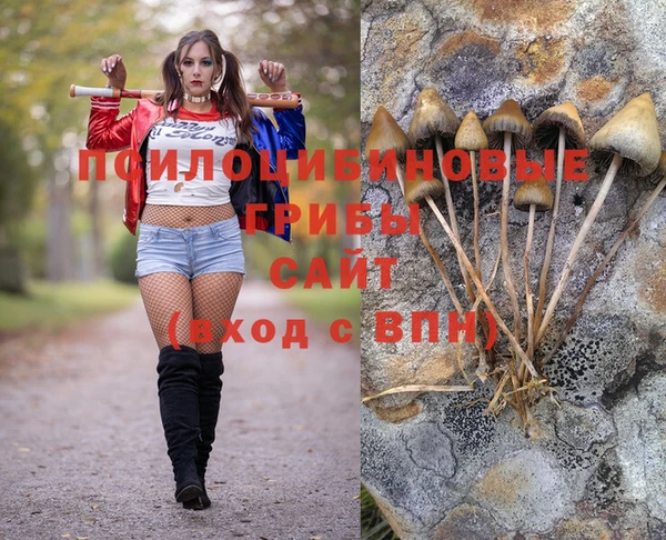 герыч Алексин