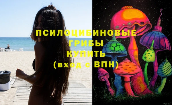 трава Абдулино
